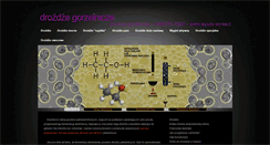 Desktop Screenshot of drozdze-gorzelnicze.pl